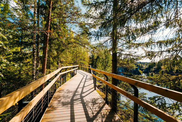 Concept de décision ou de choix en utilisant une promenade en bois dans une forêt dense - Photo, image