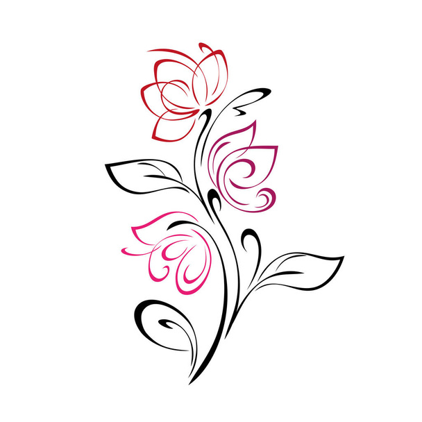 stylized twig with flower buds, leaves and curls. graphic decor - Вектор, зображення