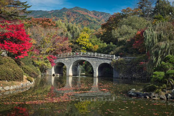 Fénykép a Haetalgyo hídról Dél-Koreában - Fotó, kép
