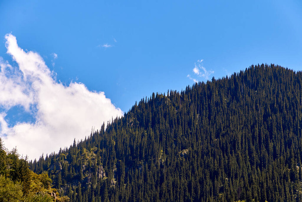 森に覆われた山と雲に覆われた青空の景色 - 写真・画像