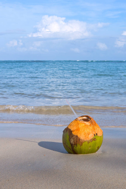 Cocktail in coconut on caribbean beach.Travel background. - Фото, зображення