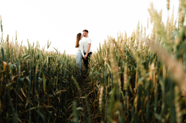 Ένας νεαρός με ένα κορίτσι περπατούν σε ένα όμορφο ηλιοβασίλεμα της ημέρας. ζευγάρι στον τομέα του σιταριού - Φωτογραφία, εικόνα