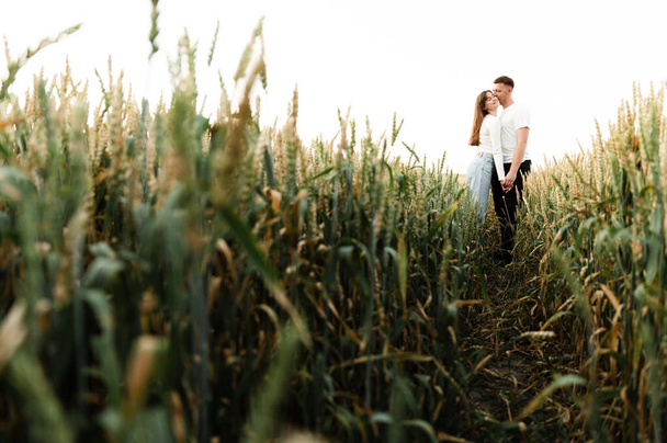 young guy with a girl are walking on a beautiful sunset of the day. couple in wheat field - Photo, image