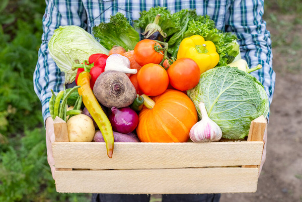 L'agricoltore tiene in mano una scatola di legno piena di verdure fresche crude. Cesto con verdura nelle mani. - Foto, immagini