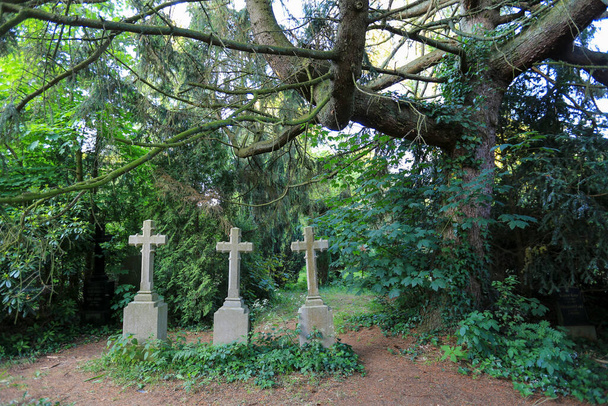 Espeluznante cementerio viejo con tres cruces de piedra en un bosque - Foto, Imagen