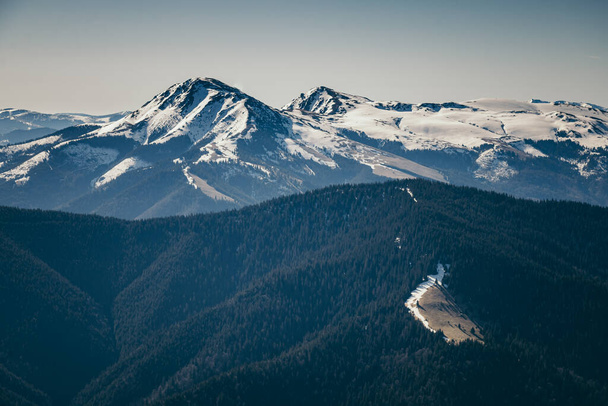Montanhas, floresta de coníferas na neve, primavera, inverno - Foto, Imagem