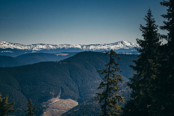 Montagne nevose, deforestazione di conifere, una primavera, un inverno - Foto, immagini