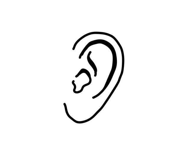 Oído humano sobre fondo blanco. Boceto. Ilustración vectorial. - Vector, imagen