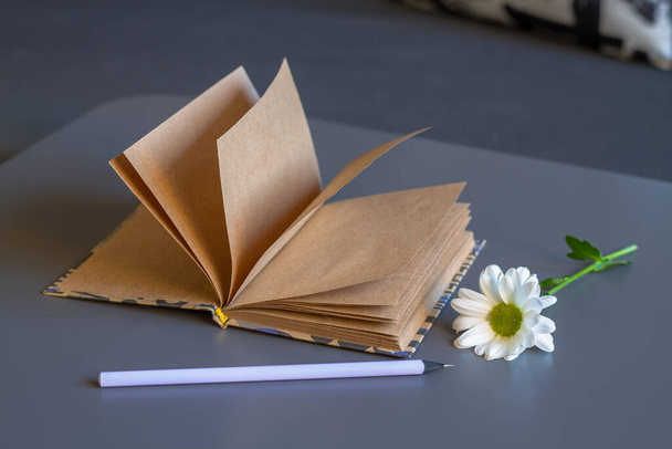 A notebook made of brown craft paper with a lilac pencil and a white chrysanthemum flower on a gray table in the interior of a home room. - 写真・画像