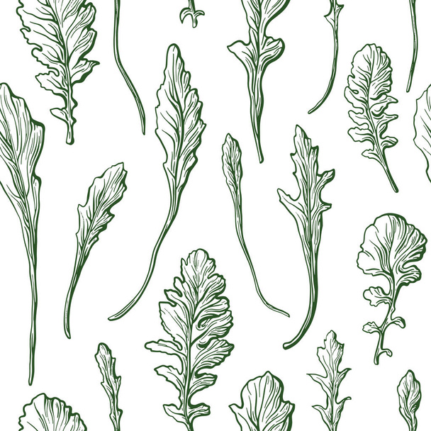 Rucola leaves texture seamless pattern. Vector vintage nature print on white background. Organic vitamin salad - Vetor, Imagem