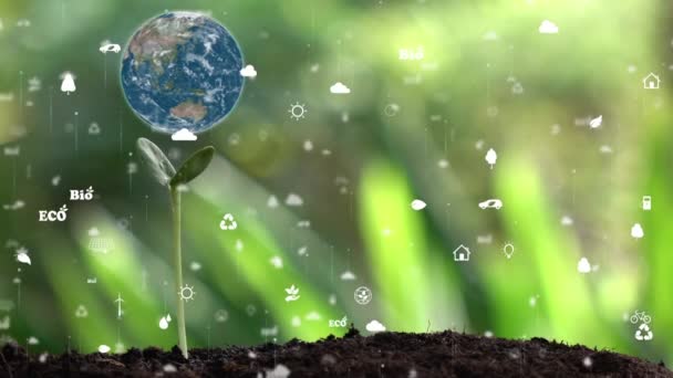 De aarde met milieu-ecologie teken hologram op natuurlijke achtergrond. - Video
