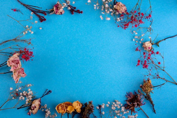 Rahmen aus getrockneten Blumen auf blauem Hintergrund - Foto, Bild