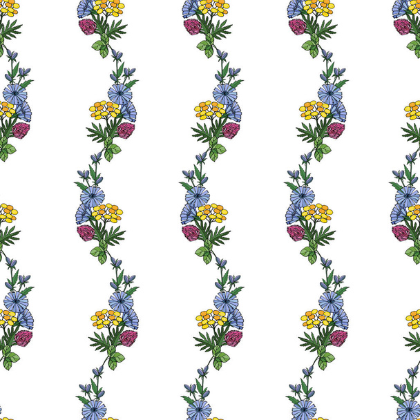 Colorful seamless pattern with a linear ornament of bouquets of flowers of chicory, tansy, clover, outline drawing with a liner. - Vektör, Görsel