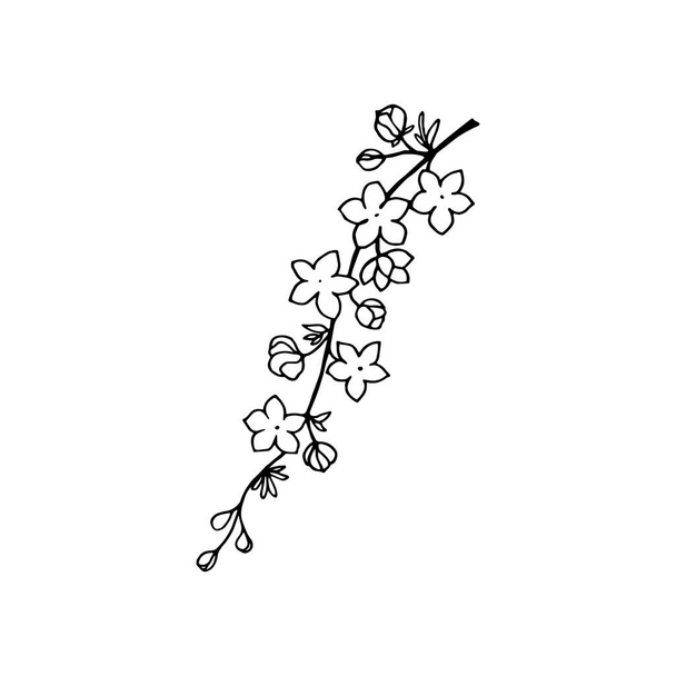 Flowering branch of spirea ornamental garden shrub, buds, flowers, leaves, outline drawing with liner. - Wektor, obraz