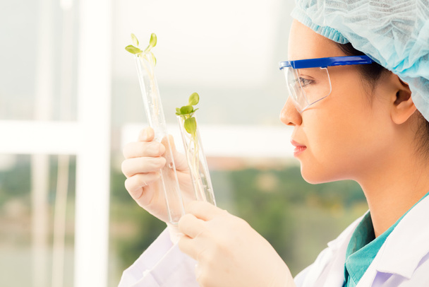 Young laboratory assistant examining sprouts - Photo, Image