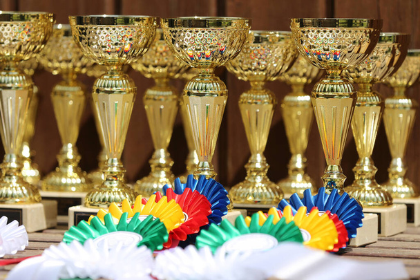 At biniciliği spor ödülleri ve rozet grupları art arda binicilik etkinliklerinde. Gösteri atlama yarışmasını kazananlar için spor kupaları ve rozetler. - Fotoğraf, Görsel