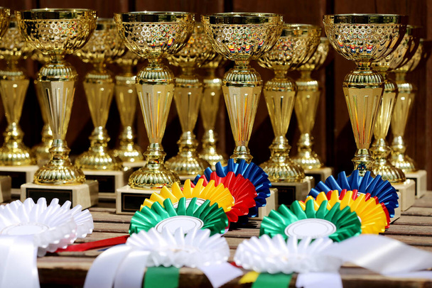 Ryhmä hevosurheilun palkinnot ja merkit ruusukkeet hevosurheilun tapahtuma peräkkäin. Kasa urheilu palkinnot ja merkit ruusukkeet voittajille show hyppy kilpailu - Valokuva, kuva