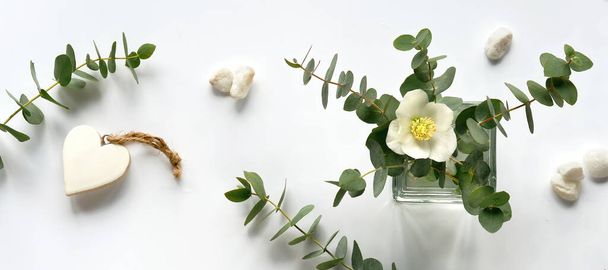 Wintertime eucalyptus and white Helleborus flower. Panoramic banner image. Winter flat lay with evergreen eucalyptus twigs and winter rose or lenten rose flower and heart. Top view on off white. - Foto, Bild