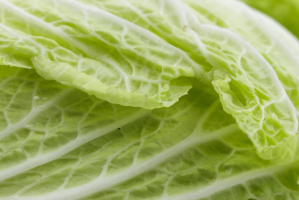 Chinese cabbage leaf close-up, vegetarian diet, food background. - Foto, Imagem