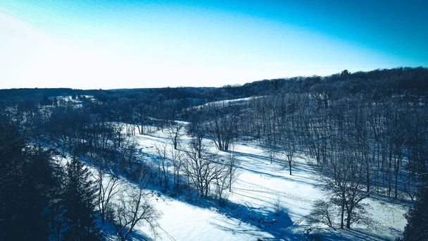 Fagyott téli táj a fák felett - Fotó, kép
