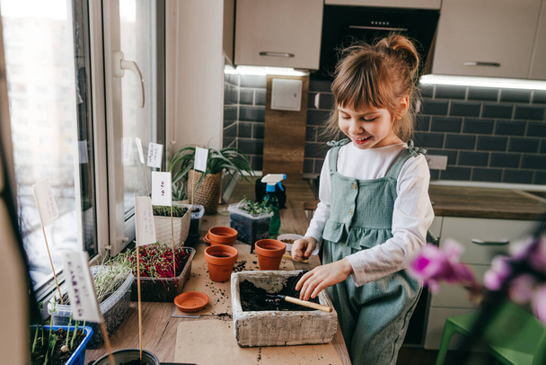 Little girl planting beet seeds in a flowerpot - Fotó, kép