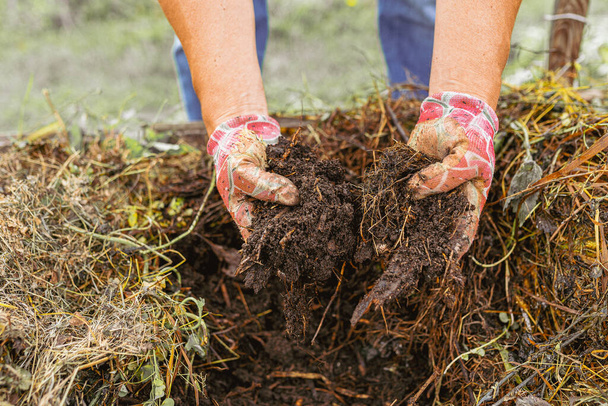 Compostaje de residuos de alimentos para enriquecer el suelo. manos de jardinero en guantes de jardinería están clasificando a través de compost primer plano. Compost reciclado de alta calidad. aumento del rendimiento - Foto, imagen