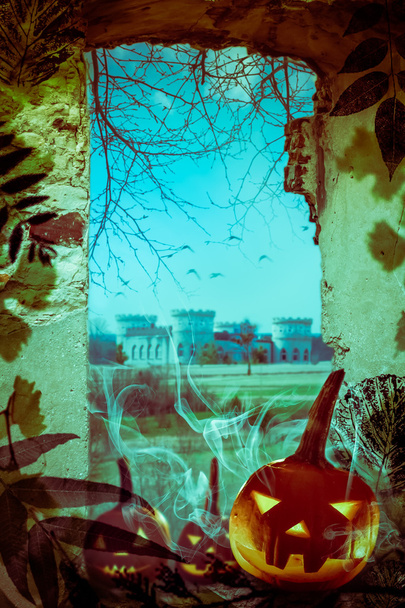 Projet Halloween citrouilles vieilles ruines Vue fenêtre château
 - Photo, image
