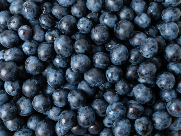 Macro Photo food fruit plums. Texture background of fresh blue plums. Image fruit product blue plums - Fotó, kép