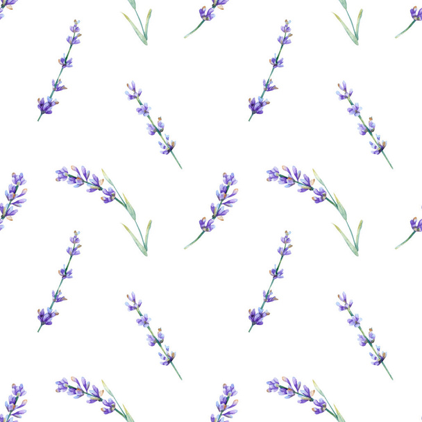 Seamless lavender pattern. Watercolor floral background with violet and blue summer flowers, branches for wrapping paper, wallpaper textile - Fotoğraf, Görsel