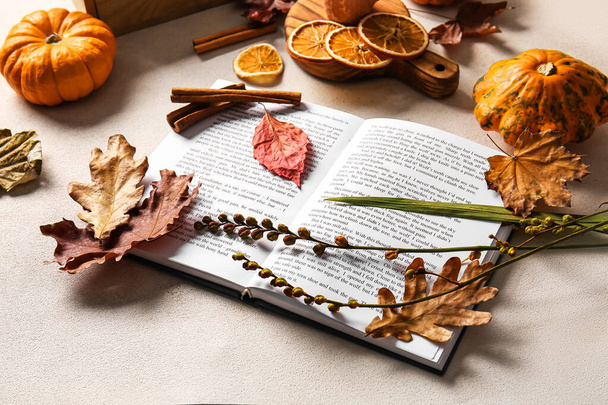 Autumn decor and book on light background - Foto, Imagem