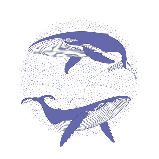 A pair of whales on the waves in very peri color. - Vector, afbeelding
