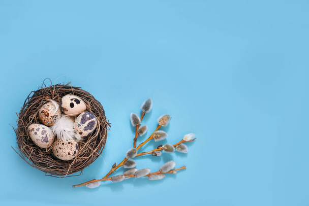 Feliz conceito de Páscoa. Quadro de ovos de Páscoa e flores de primavera no fundo azul - Foto, Imagem