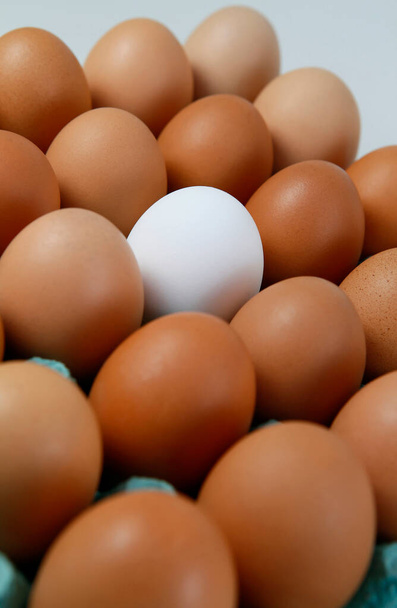 Kahverengi yumurtaların arasında kutuda tek bir beyaz yumurtaya yakın çekim - Fotoğraf, Görsel