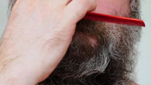 Ein sehr zugewachsener Mann kämmt seinen üppig braun-grauen Bart und Schnurrbart mit einem Kamm. Eine Person braucht die Dienste eines Friseurs und eines Friseurs. Der Mann ist mit seinem Äußeren unzufrieden. Nahaufnahme im Gesicht. - Filmmaterial, Video