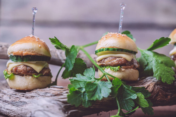 Zblízka mini hovězí burgery izolované na pozadí dřeva - Fotografie, Obrázek
