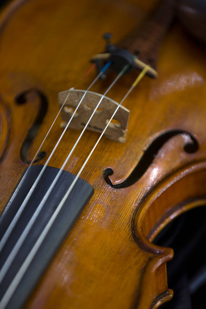 Close up of viola - Foto, Imagen
