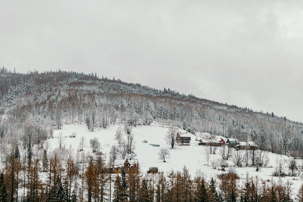 winterlandschap van bergen en bossen op bewolkte dag - Foto, afbeelding