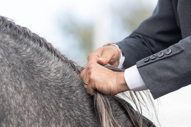 Detail rukou ženicha, který dělá koňovi copánek - Fotografie, Obrázek