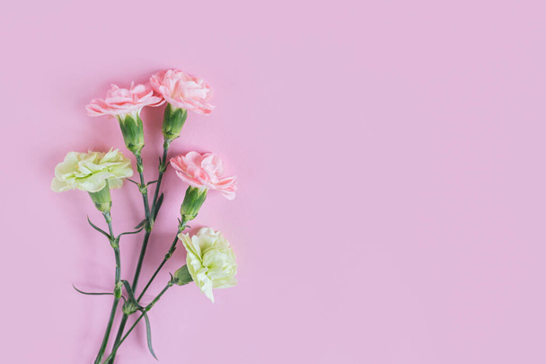 Γευστικά άνθη γαρύφαλλου σε παστέλ ροζ φόντο. Θέση για κείμενο.  - Φωτογραφία, εικόνα