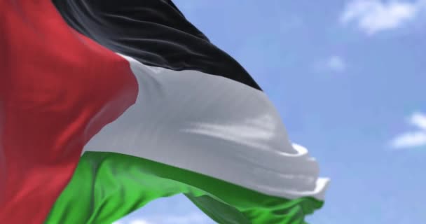 Dettaglio della bandiera nazionale della Palestina che sventola nel vento in una giornata limpida. Democrazia e politica. Patriottismo. Concentrazione selettiva. Movimento lento senza soluzione di continuità - Filmati, video