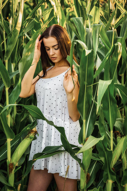 Jeune belle femme en robe blanche dans le champ de maïs. - Photo, image