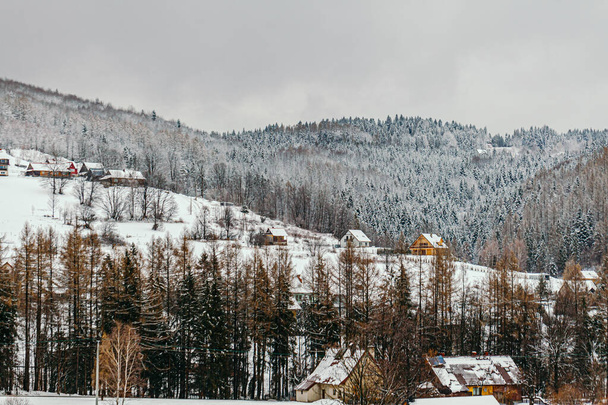 winterlandschap van bergen en bossen op bewolkte dag - Foto, afbeelding