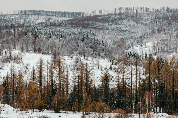 téli táj a hegyek és erdők a felhős napon - Fotó, kép