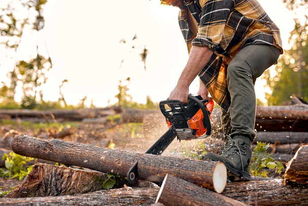 Cropped Lumberjack in protective gear cutting firewood timber tree in forest with chainsaw - Foto, immagini