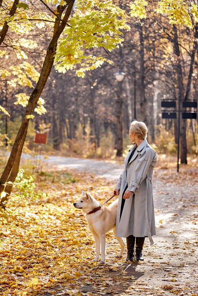 Attractive lady walking, having fun with dog outdoors. blonde lady in coat - Valokuva, kuva