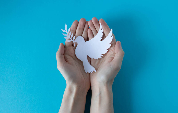 Χέρια κρατώντας ένα χάρτινο λευκό περιστέρι σε μπλε φόντο. Παγκόσμια Ημέρα Ειρήνης. Παγκόσμια Ημέρα Επιστήμης για την Ειρήνη και την Ανάπτυξη - Φωτογραφία, εικόνα