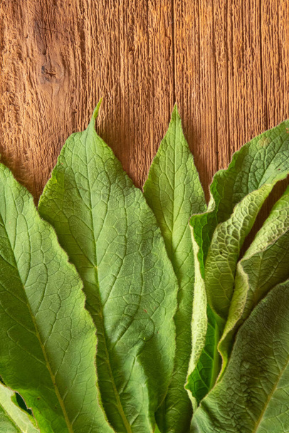 fresh  picked comfrey leaves on wood showing their texture. - Foto, afbeelding
