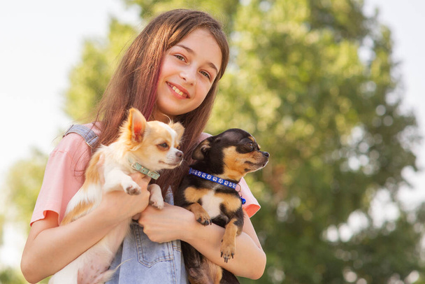 Linda chica con mascotas en la naturaleza. Adolescente chica con dos perros chihuahua en un día de verano. - Foto, imagen