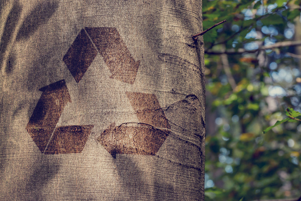 Symbol recyklace na kmen stromu - Fotografie, Obrázek