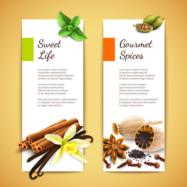 Spices banners vertical - Vector, Image